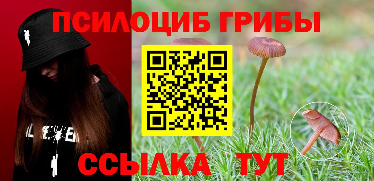 Псилоцибиновые грибы ЛСД Щёлково