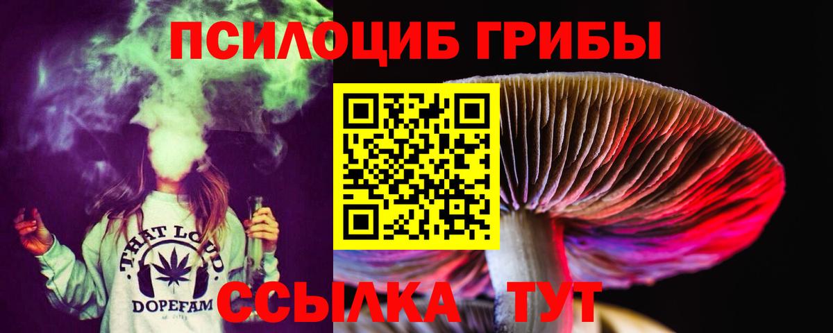 Псилоцибиновые грибы MAGIC MUSHROOMS  Вход с VPN  Щёлково 